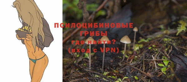 гашишное масло Богданович