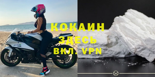 мдпв Богородицк