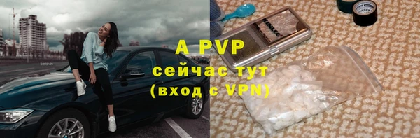 соль ск Богородск