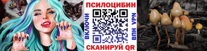 Псилоцибиновые грибы прущие грибы  купить наркотики сайты  Ульяновск 